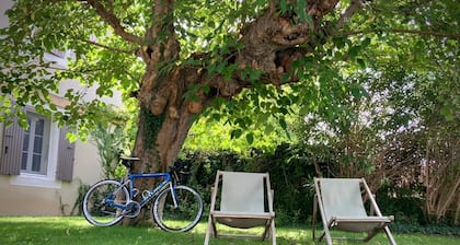 Authentic Mas Provençal near Mont-Ventoux with private pool