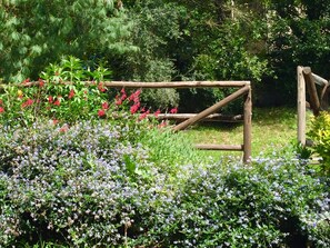 Property grounds - Delightful family Farmhouse with pool, in the woods, 20 km from Florence (Toscana)