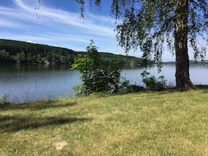 Blick auf einen See mit einer grünen Vordergrundwiese, einem Baum und einem bewaldeten Hügel im Hintergrund.