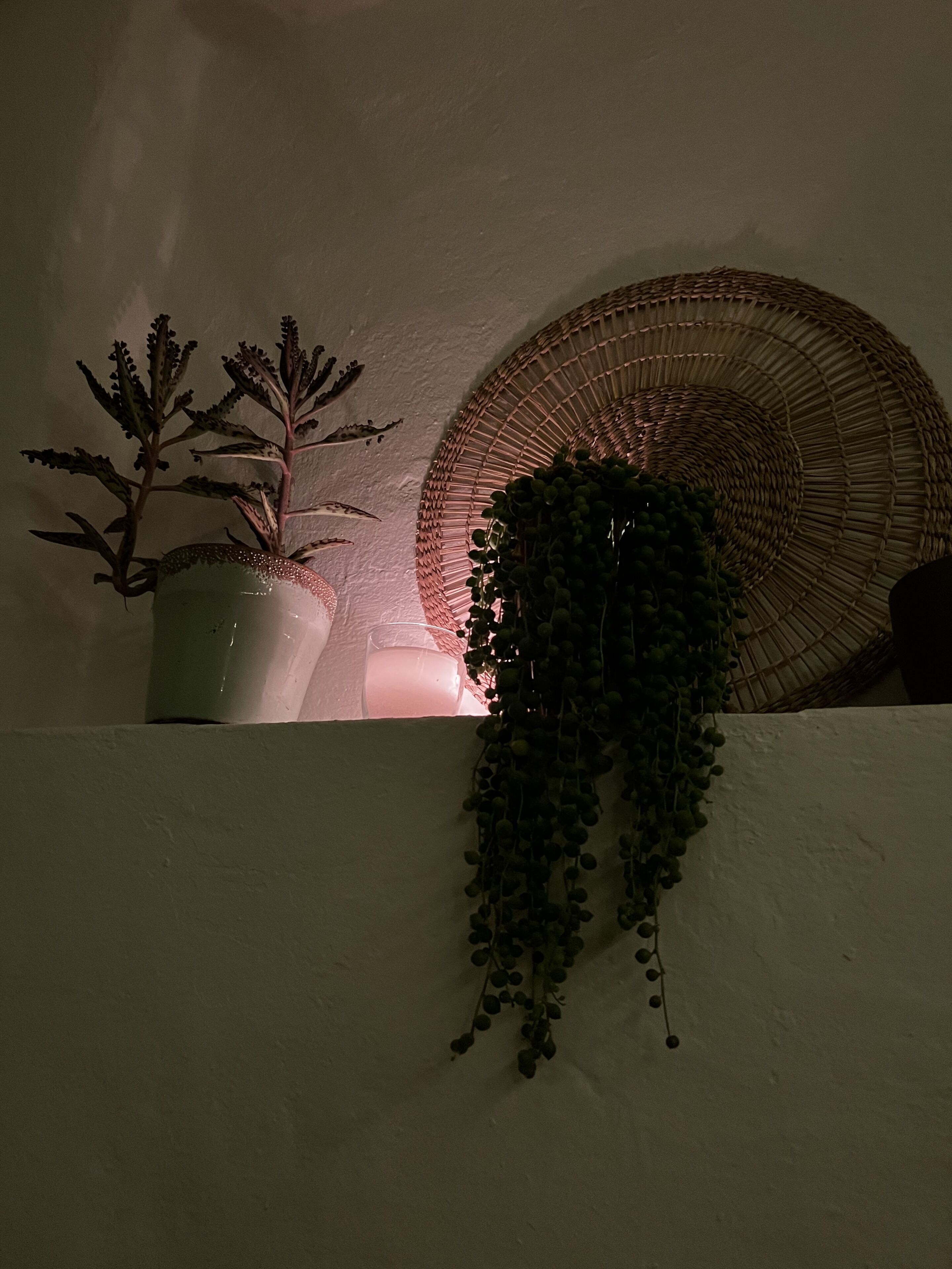 A shelf with a potted plant, a woven basket, and a decorative item against a wall.