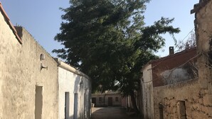 Ein schmaler Gang zwischen alten Gebäuden, ein befestigter Weg und ein großer Baum in der Mitte.