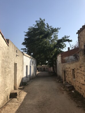 Enceinte de l’hébergement