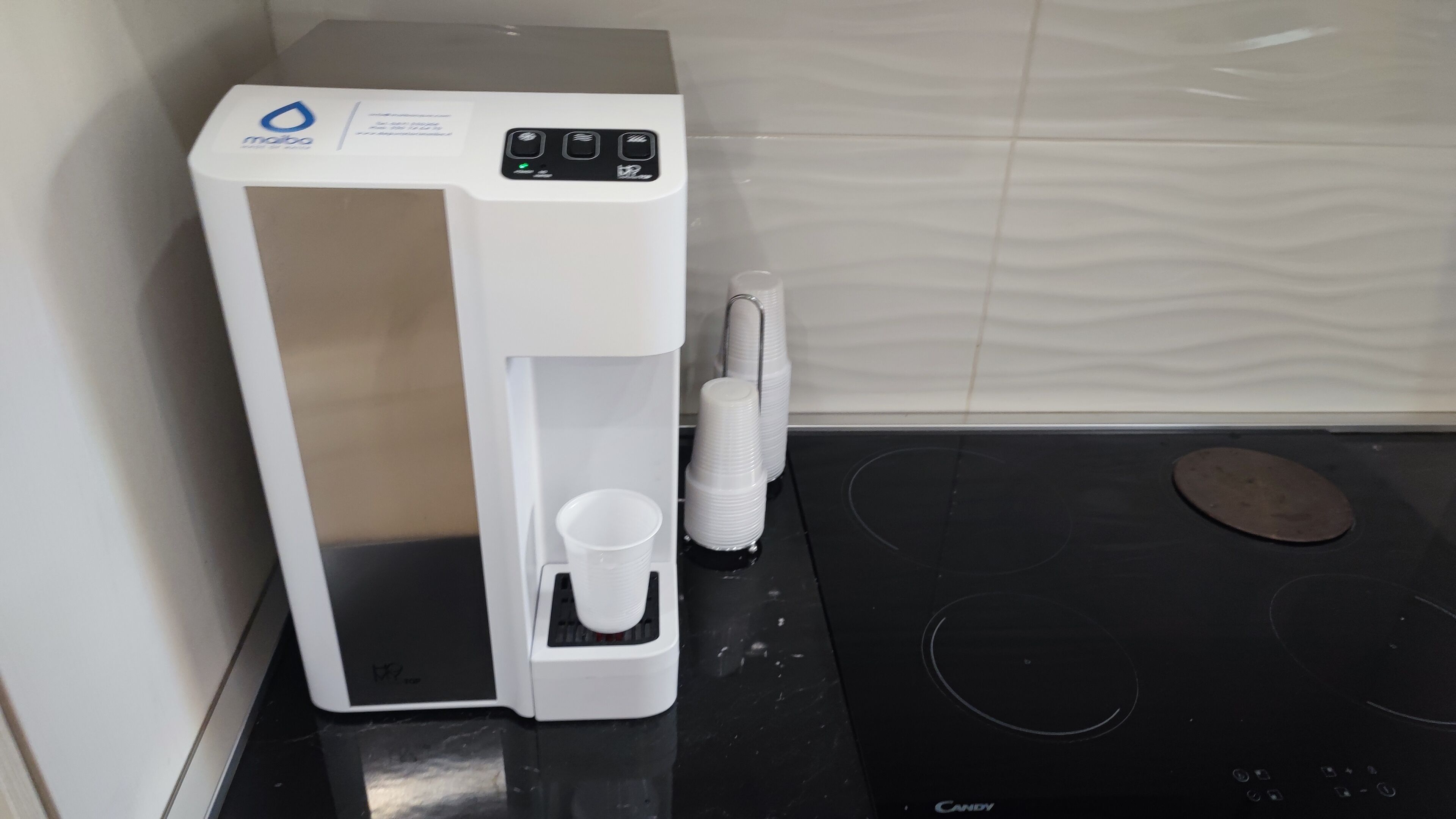 Foto - Maria in Vaticano