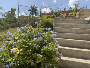 Exterior - Poinciana House  (Montego Bay)