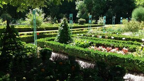 Un jardín bien cuidado con setos ordenados y diversas plantas.