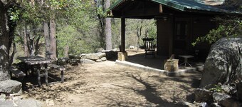 Cabin in the Ponderosa Pines
