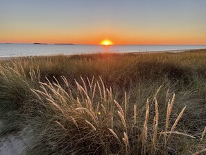 A sunset over a beach with tall grasses in the foreground. - A 200m de la plage, la Villa YANG (Saint-Pierre-Quiberon)