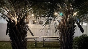 Ein Gartenbereich mit Palmen, einem weißen Zaun und einer Bank.