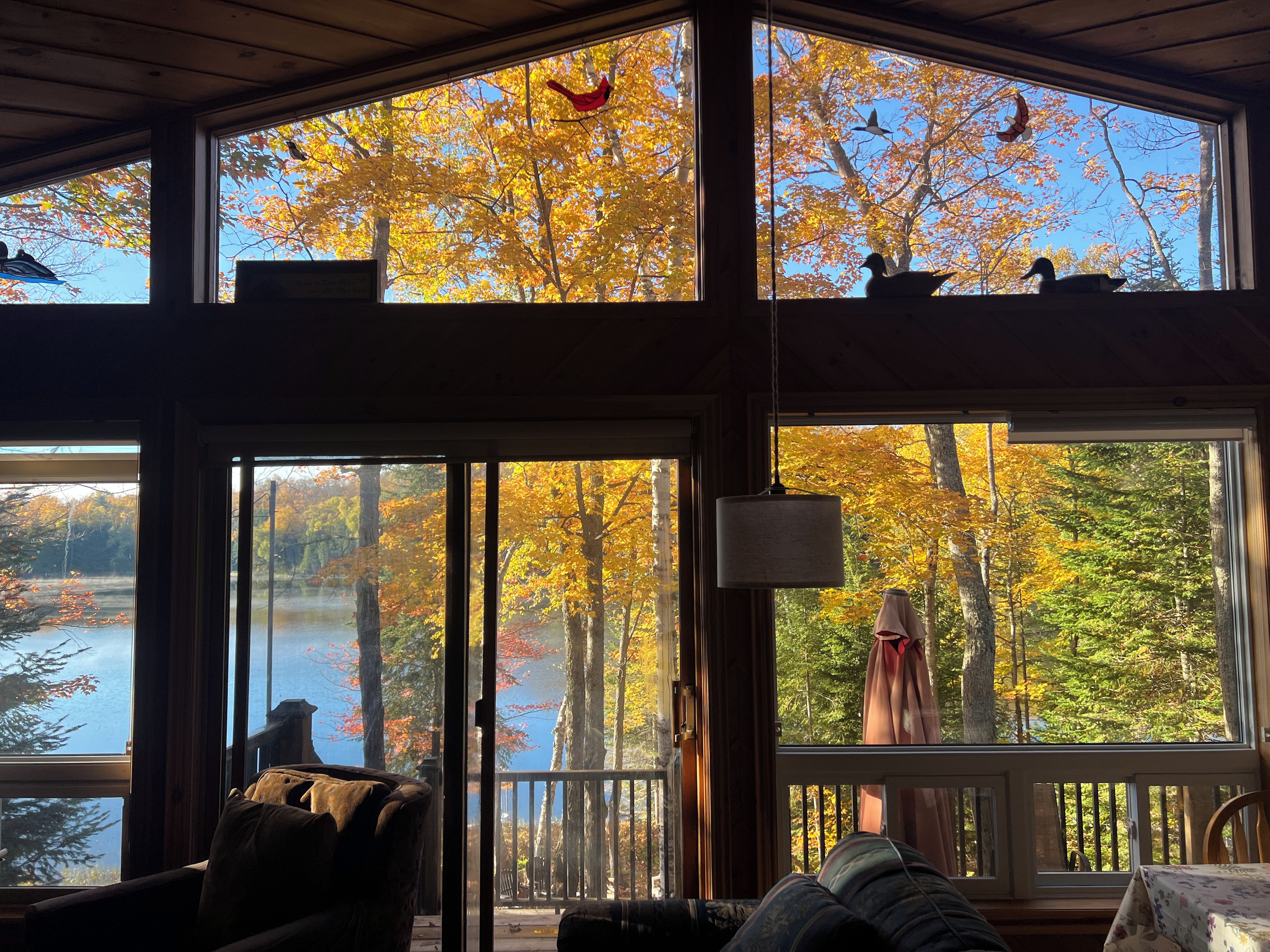 Een chalet met grote ramen met uitzicht op een meer en herfstkleurige begroeiing.