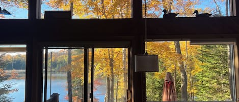 Een chalet met grote ramen met uitzicht op een meer en herfstkleurige begroeiing.