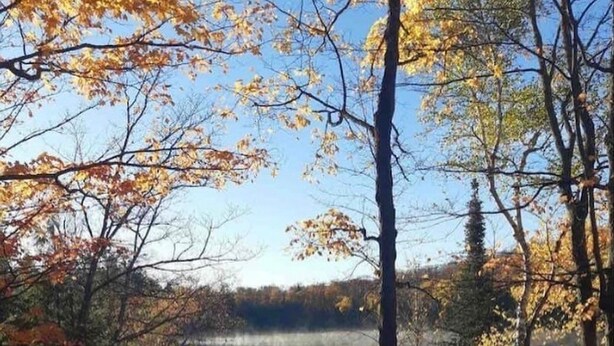 Vista sul lago da un pontile in legno con ringhiera, che si affaccia su un lago calmo circondato da alberi con foglie autunnali.
