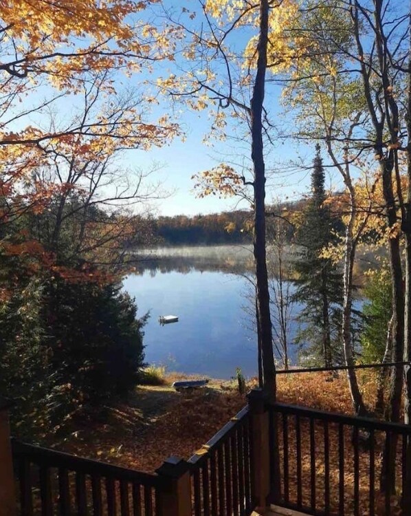 Property grounds - Stunning Fall Colours, Lake and Forest view, hiking. (Harcourt)