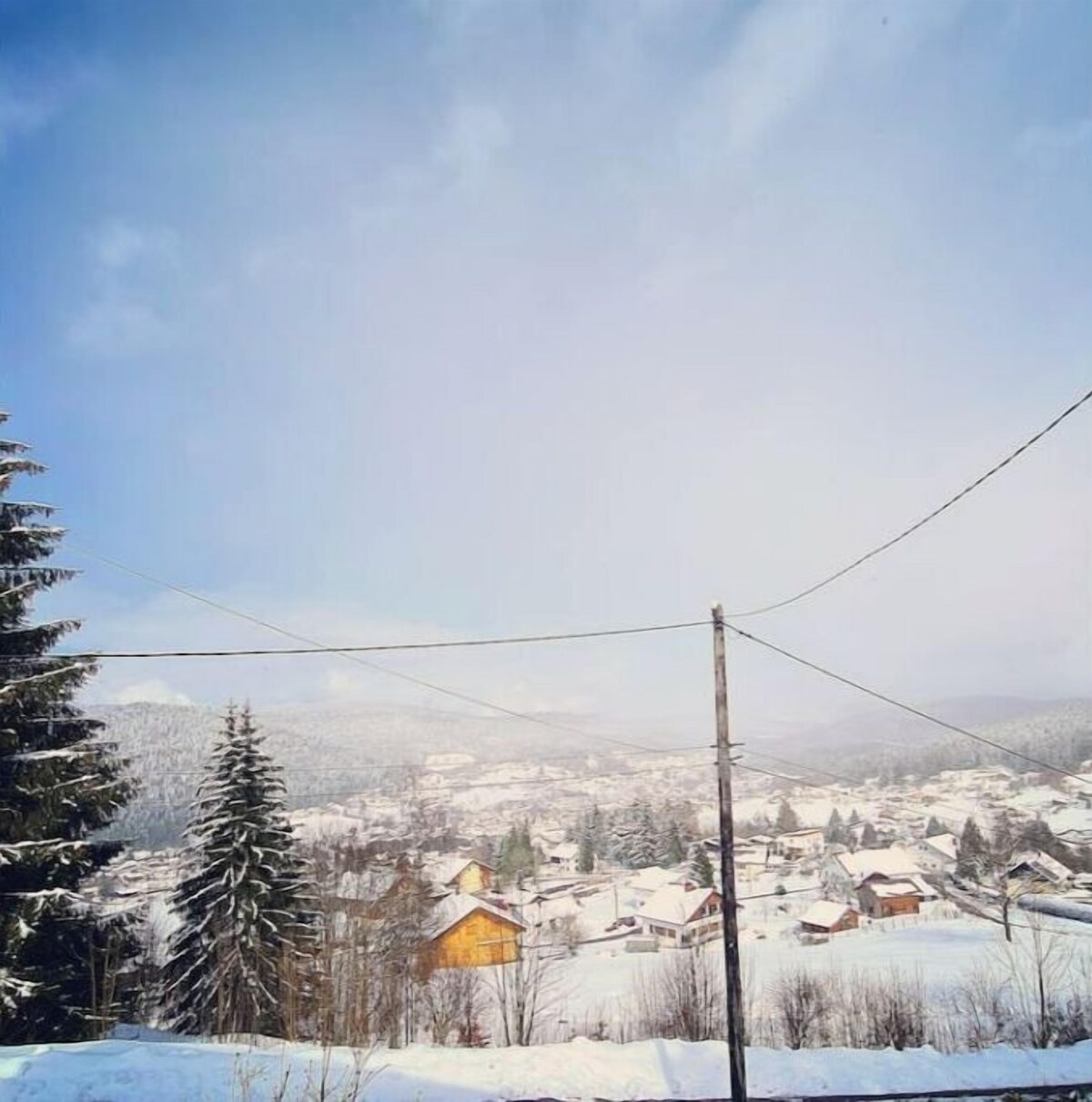 オーナーのプロフィール画像