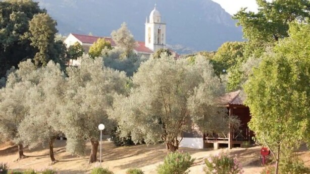 Una església amb una torre del campanar, envoltada d'oliveres i un edifici petit amb teulada vermella.