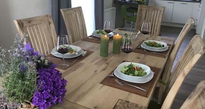 North Sea coast, charming Frisian house on the old dike with sauna, fireplace, beach chair