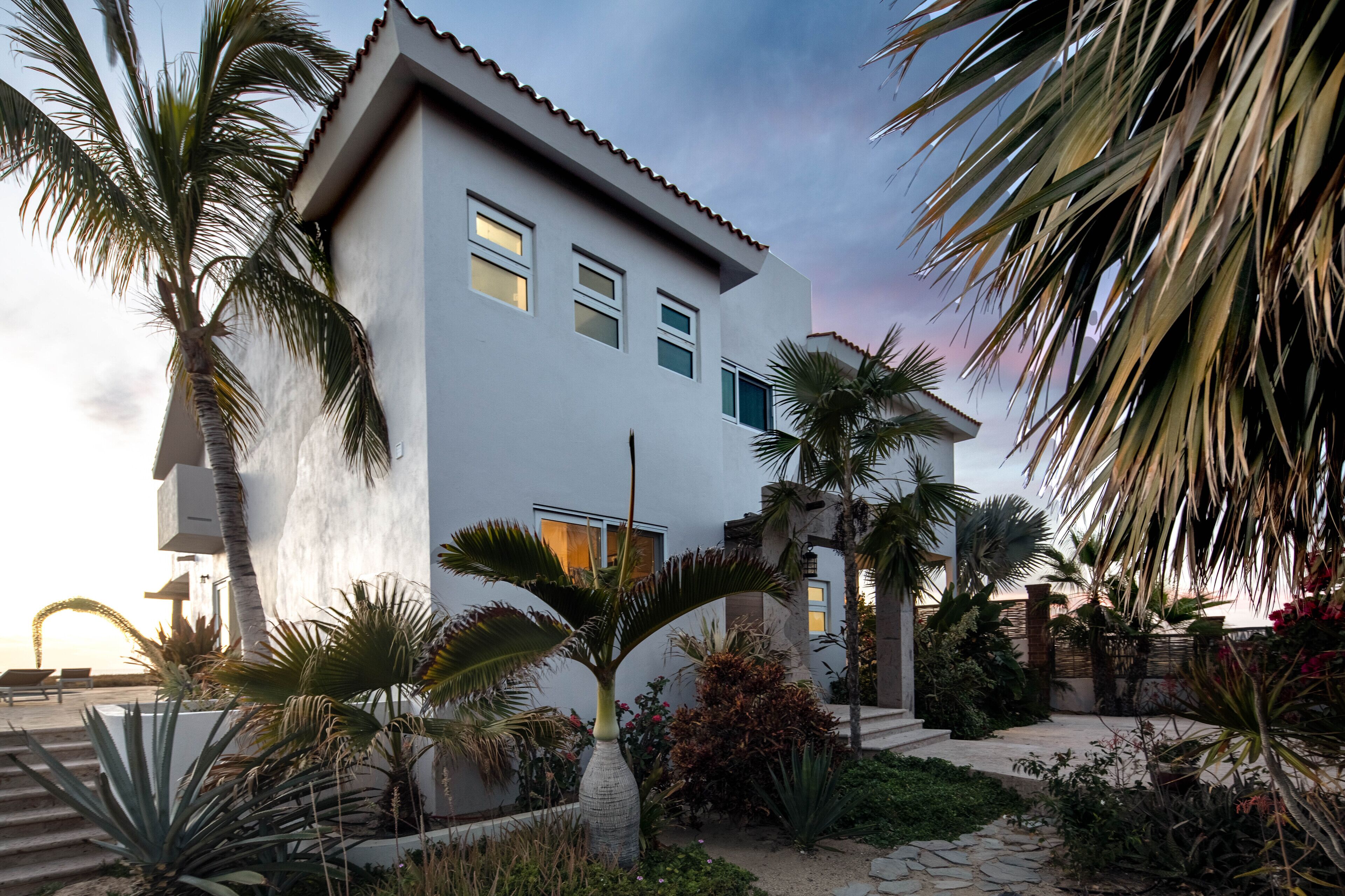 A modern two-story house with a white exterior, surrounded by a variety of tropical plants and a stone pathway leading to the entrance.