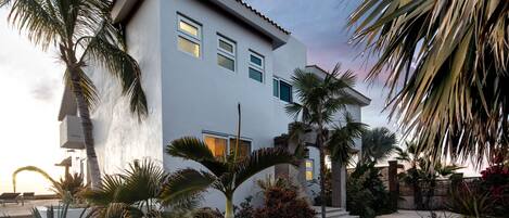A modern two-story house with a white exterior, surrounded by a variety of tropical plants and a stone pathway leading to the entrance.