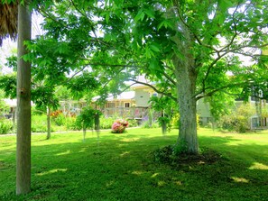 A residential area with a well-maintained lawn, a large tree, and a house with a porch.