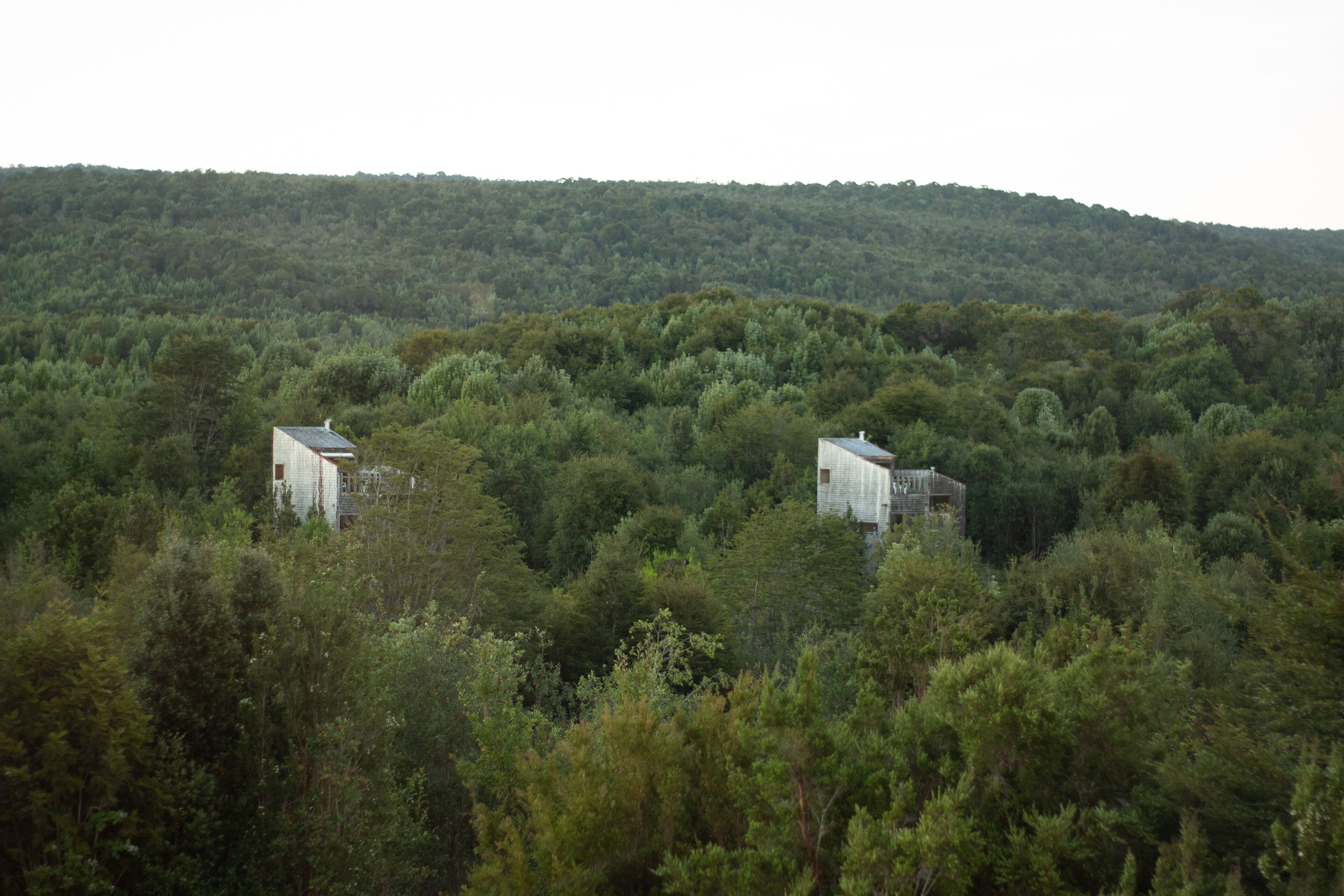 Deux bâtiments blancs entourés d’une forêt dense.