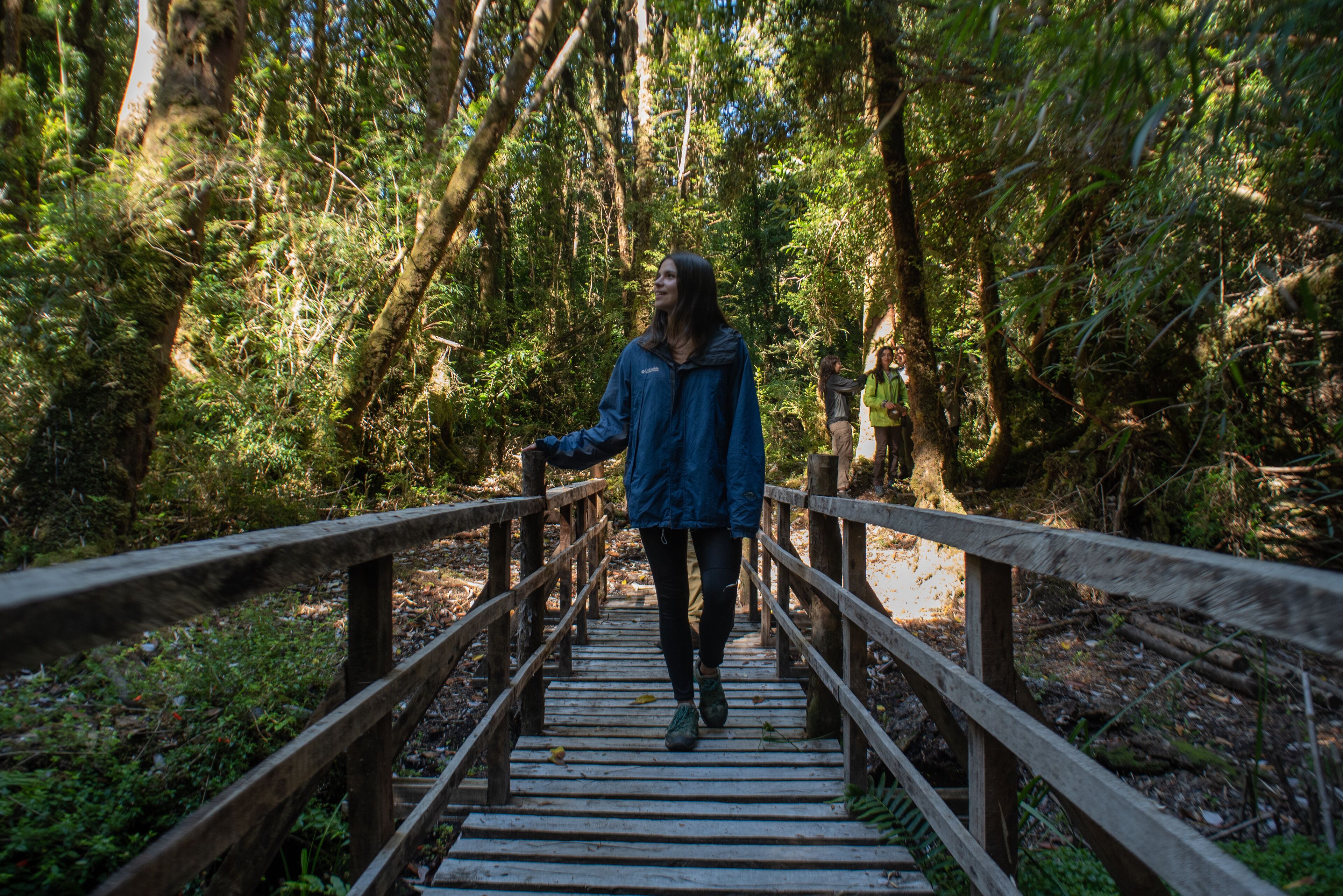 A wooden bridge in a forested area.