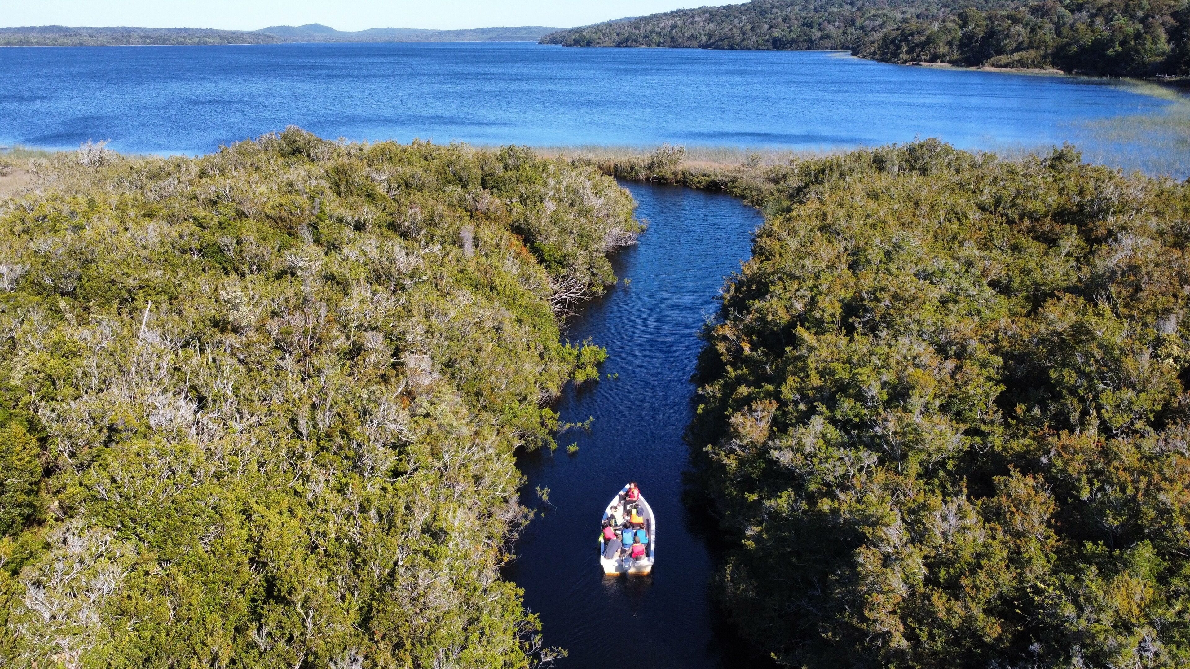 A boat on a narrow waterway surrounded by dense greenery.