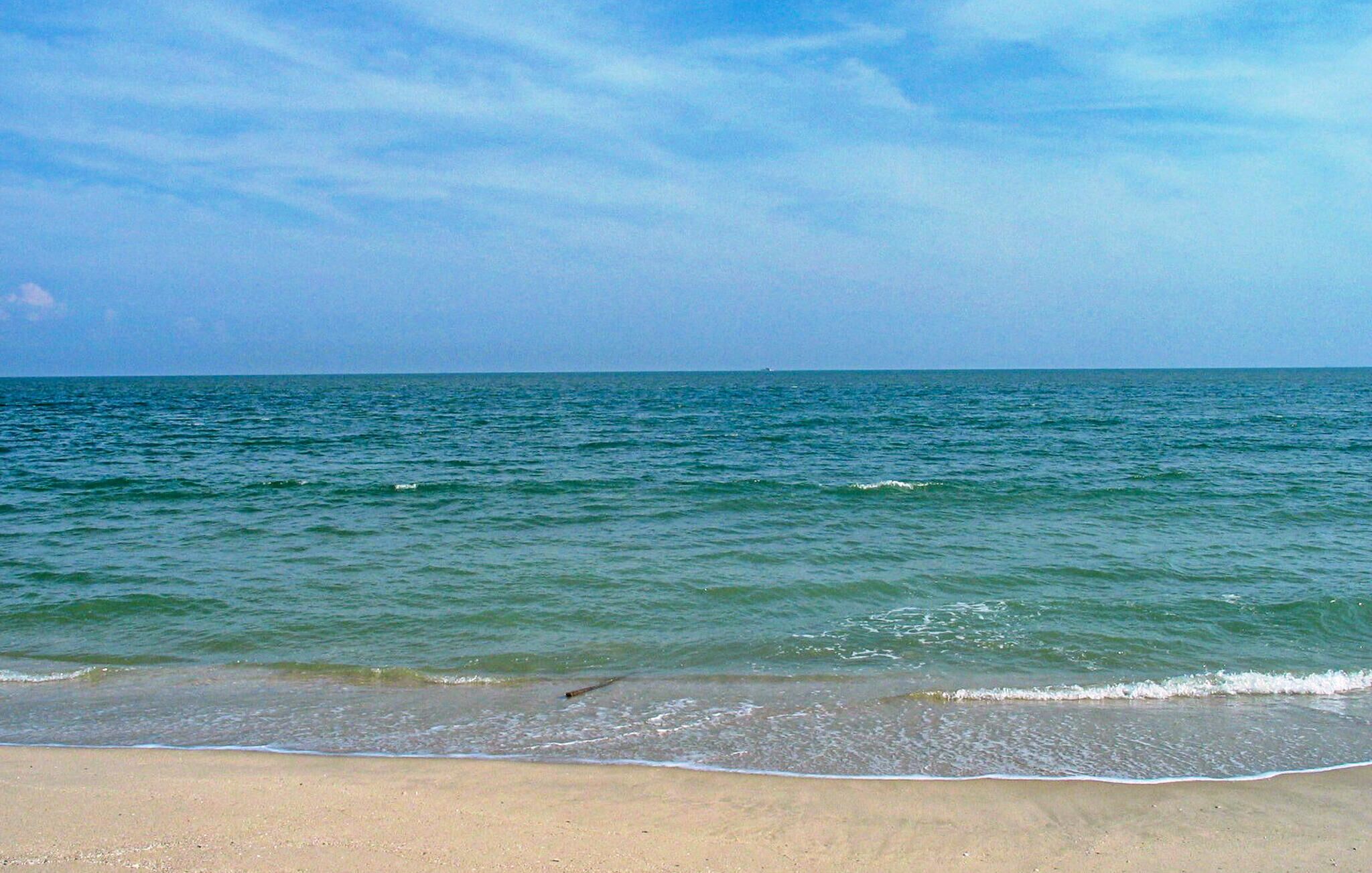 Una playa cerca, pesca
