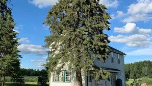 Une maison blanche aux bordures vertes, un grand arbre devant et un ciel bleu dégagé.
