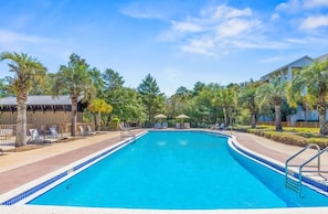 A swimming pool with lounge chairs and palm trees.
