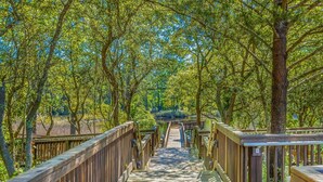 A wooden boardwalk leading through a forested area with trees on both sides. - Redfish Village - Beach Please - 2BR/2BA - Gulf Views - Seasonal Beach Tram (Santa Rosa Beach)