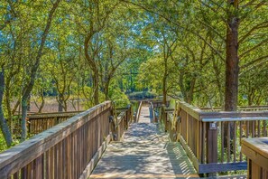 A wooden boardwalk leading through a forested area with trees on both sides.