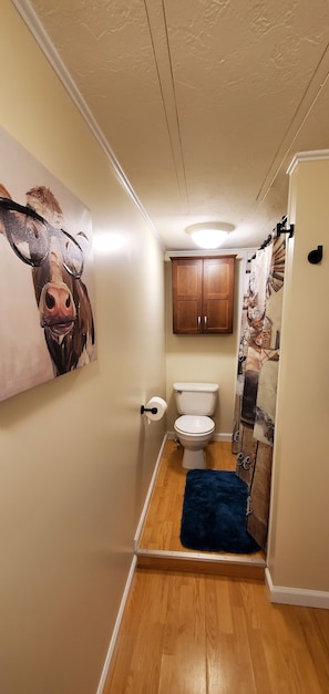 Combined shower/tub, eco-friendly toiletries, hair dryer, towels