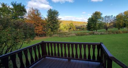 2 Mins. from Watkins Glen Racetrack & Central to FLX Wine Trail touring.