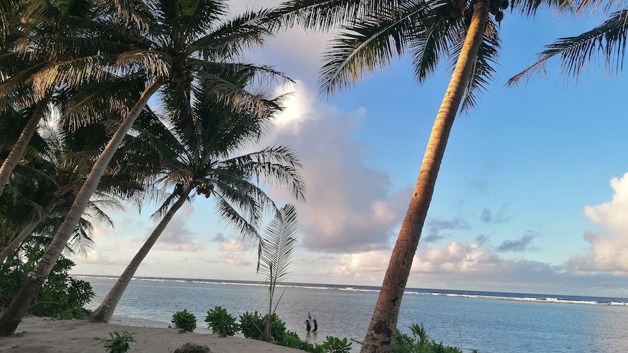 Island Hopper Hotel