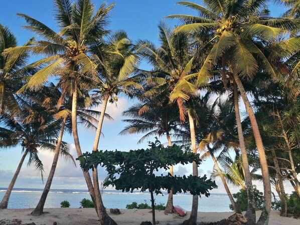 Front of property - Island Hopper Hotel (Kosrae)