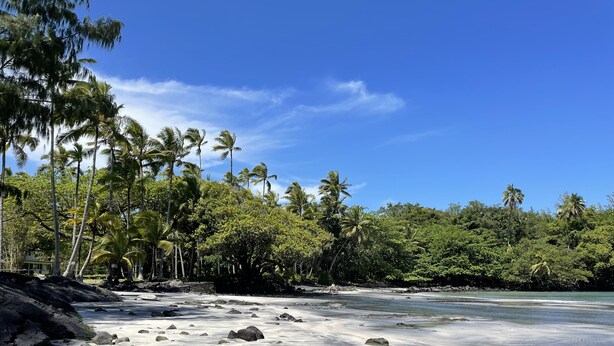 A beach with rocky shoreline, palm trees, and clear blue sky. - Kaloli Point retreat 3 blocks from the ocean and minutes to Shipman Beach trail! (Keaau)