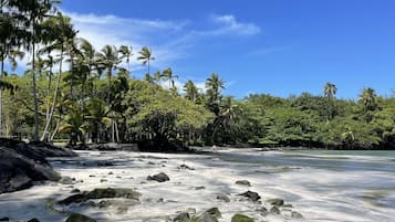 Chaises longues, serviettes de plage