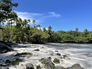 A beach with rocky shoreline, palm trees, and clear blue sky.