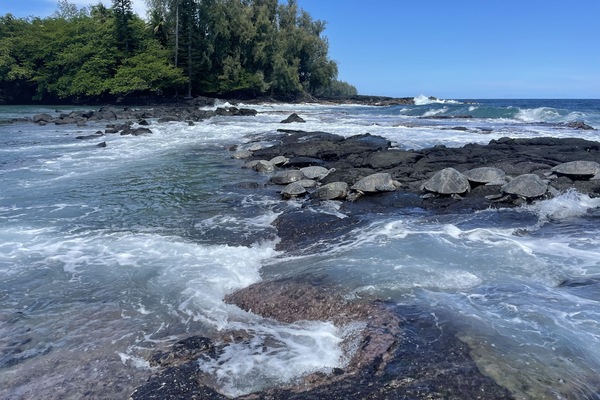 LiegestĂŒhle, StrandtĂŒcher