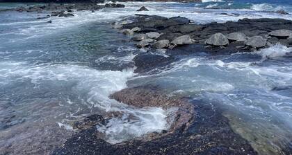 Kaloli Point retreat 3 blocks from the ocean and minutes to Shipman Beach trail!
