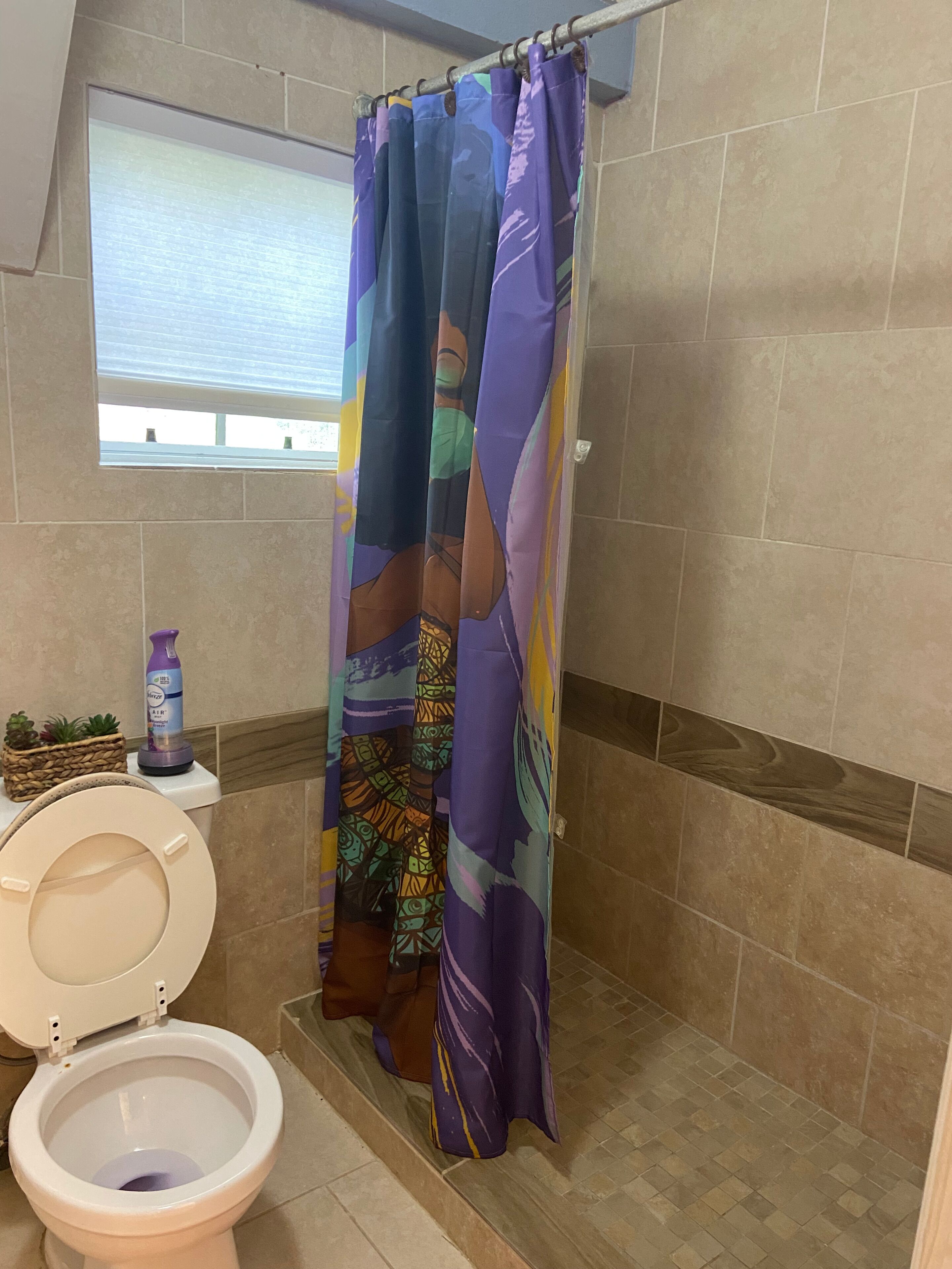 A bathroom with a toilet, a shower curtain, and a window.