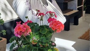 A living room with a hanging chair, a television, and potted plants. - Beach pad with a modern touch  in the heart of Iluka (Iluka)