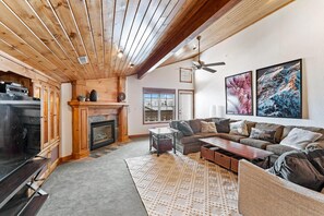 Televisión, chimenea y libros 