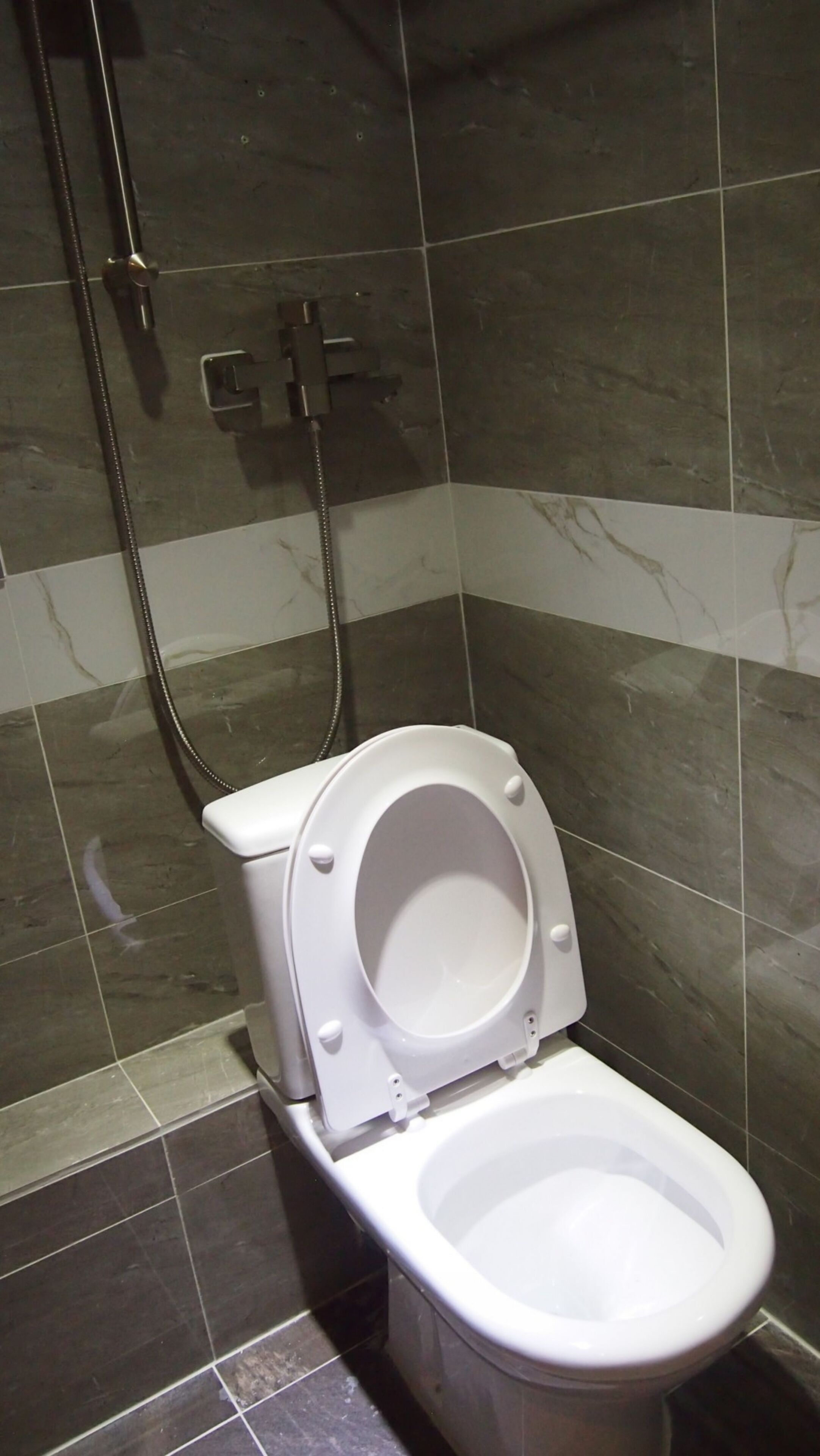 Ein Badezimmer mit Toilette, Duschkopf und Wandarmatur.