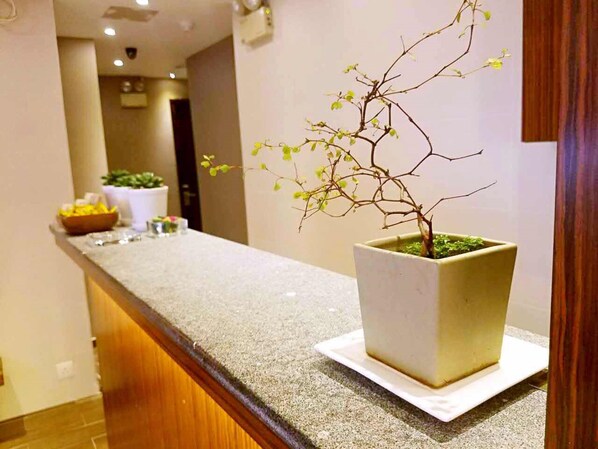 Eine moderne Küche mit einer Granitarbeitsplatte, einem Blumentopf und einer Obstschale auf der Arbeitsfläche.