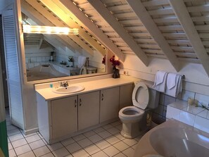 Hair dryer, towels, soap
