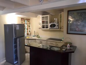 Private kitchen - Shady Parma pool view (Ocho Rios)