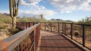 Un puente de metal con barandilla metálica que conduce a un paisaje desértico con cactus y montañas al fondo.
