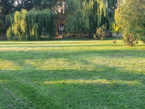 المنطقة المحيطة بالمنشأة