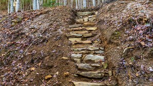 A stone staircase leading up a hill in a forested area.