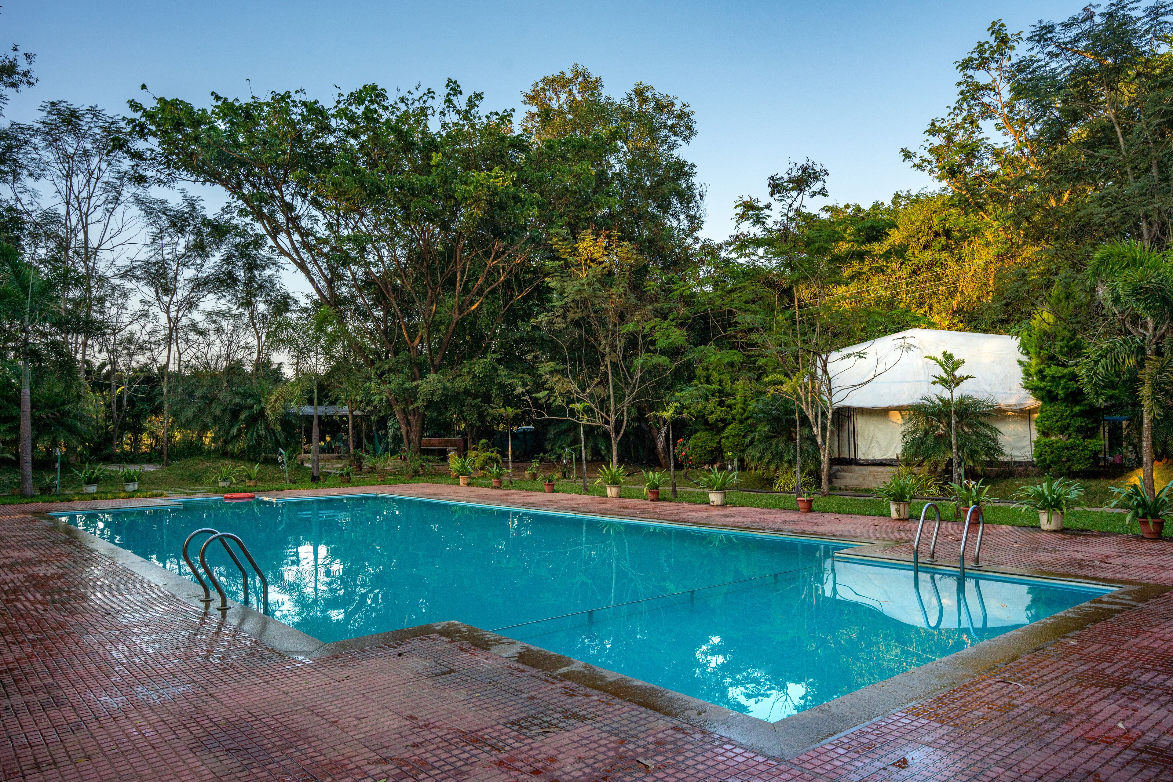 A rectangular swimming pool with a tiled deck, surrounded by lush greenery and trees.